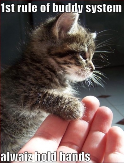 The Wisdom Of Cats Just Amorous