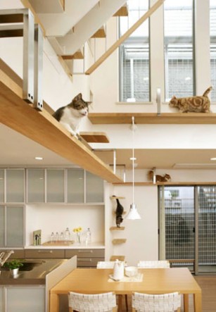 Japanese-cat-house1-307x443